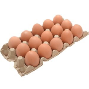 huevos aa x 15 unidades