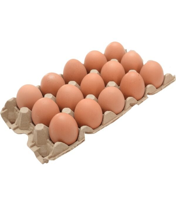 huevos aa x 15 unidades